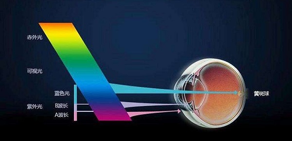 �����ҕ���۾��������C����ѣ��Σ�����{�������