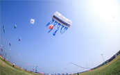 ��ͯ���b��ָ�ϣ�TCLС�{(l��n)��P6 Ultra AI���m˯�߿��{(di��o)��������������˯