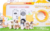 �cë����һ�����g���|֥(li��n)�������f���e�k�Ȍ����(ji��)