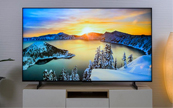 Mini LED�I(l��ng)��(y��u)�����@��TCL�N����ǰʮռ��